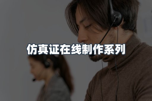 仿真证在线制作